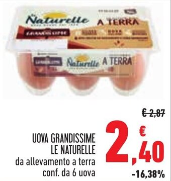Conad UOVA GRANDISSIME LE NATURELLE da allevamento a terra conf. da 6 uova offerta