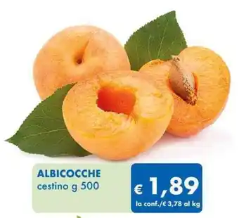 ALBICOCCHE cestino g 500