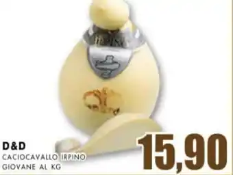 D&D CACIOCAVALLO IRPINO GIOVANE