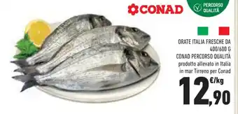 Conad ORATE ITALIA FRESCHE DA 400/600 G offerta