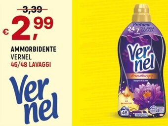 A&O AMMORBIDENTE VERNEL 46/48 LAVAGGI offerta