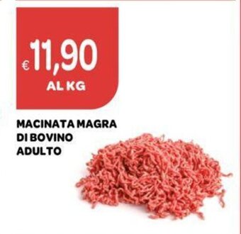 Ekom MACINATA MAGRA DI BOVINO ADULTO offerta