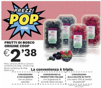 Coop FRUTTI DI BOSCO ORIGINE COOP offerta