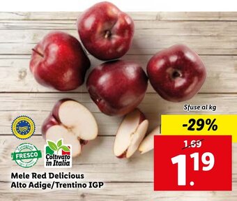 Lidl Mele Red Delicious Alto Adige/Trentino IGP offerta