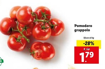 Lidl Pomodoro grappolo offerta