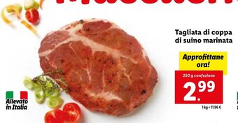 Lidl Tagliata di coppa di suino marinata offerta