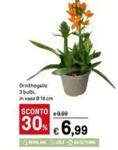 Famila Superstore Villa dei paceni vino spumante dolce offerta