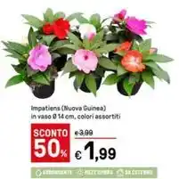 Famila Superstore Colli nobili bianco spumante millesimato offerta