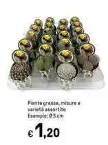 Famila Superstore Campari bitter offerta