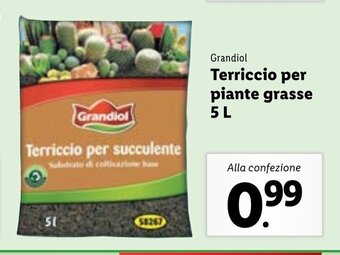 Lidl Grandiol Terriccio per piante grasse 5l offerta