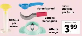 Lidl ERNESTOⓇ Utensile per frutta offerta
