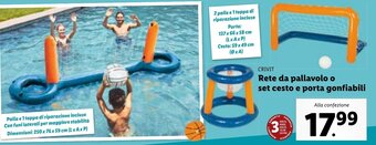 Lidl Rete da pallavolo o set cesto e porta gonfiabili offerta