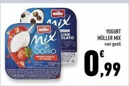 Conad Superstore Muller yogurt mix offerta