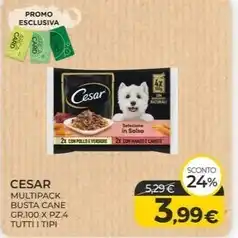 Conad Superstore Sant'orsola spumante demi secco ice offerta