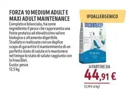Osella linea
