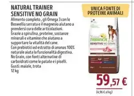 Tigre Noa hummus di ceci offerta