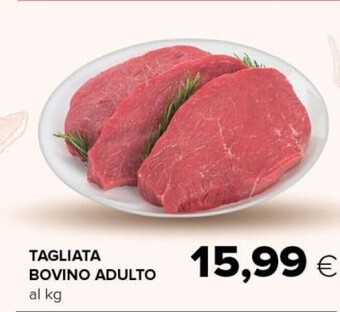 Tigre Tagliata bovino adulto offerta