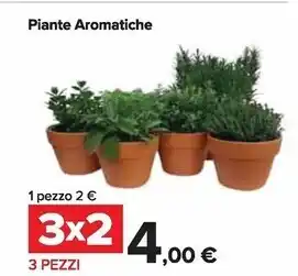 Piante aromatiche