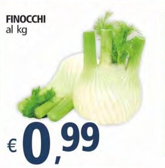 Alter Discount FINOCCHI offerta