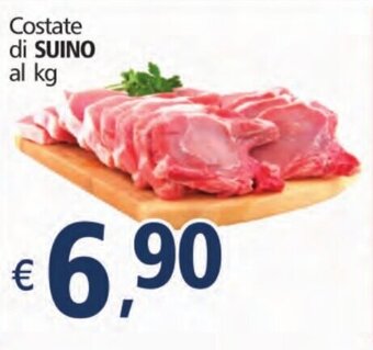 Alter Discount Costate di SUINO offerta