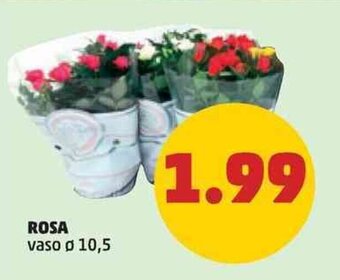 ROSA vaso ø 10,5