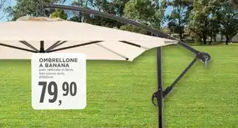 Conad OMBRELLONE A BANANA offerta