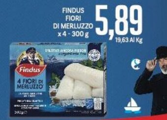 Supermercati Piccolo FINDUS FIORI DI MERLUZZO x 4 300 g offerta