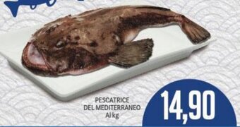 PESCATRICE DEL MEDITERRANEO