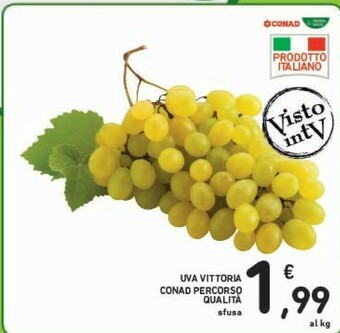 Conad Conad Percorso Qualita Uva Vittoria offerta