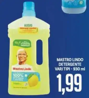 Supermercati Piccolo MASTRO LINDO DETERGENTE VARI TIPI - 930 ml offerta