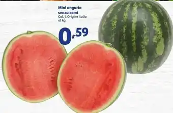In'S Mercato Mini Anguria Senza Semi offerta