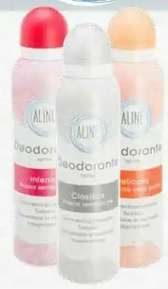 In'S Mercato Aline Deodorante offerta