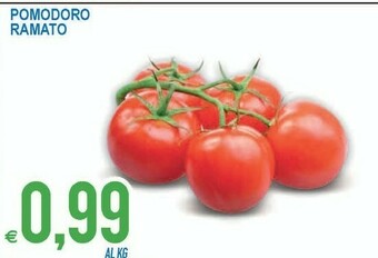 MD Discount Pomodoro Ramato offerta