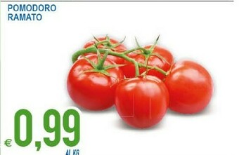 MD Discount Pomodoro Ramato offerta
