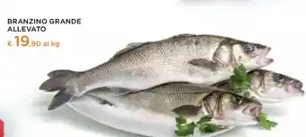 Coop Pastificio artigianale papi - pasta di semola offerta