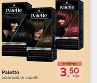 Palette Colorazione Capelli