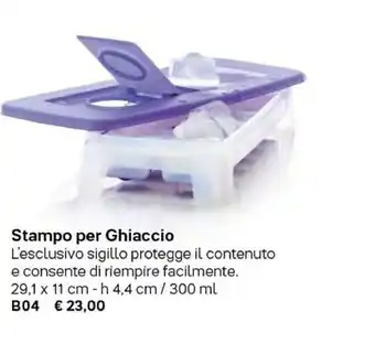 Stampo Per Ghiaccio