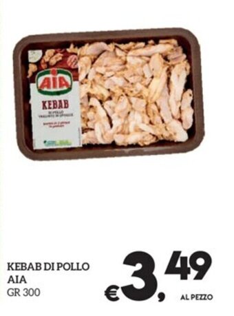 KEBAB DI POLLO AIA GR 300