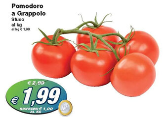 Pomodoro a Grappolo Sfuso