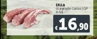 Deco Supermercati Sella Di Agnello Galles IGP offerta