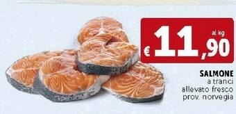 Deco Supermercati Salmone A Tranci Allevato Fresco offerta