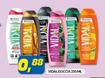 VIDAL DOCCIA 250 ML