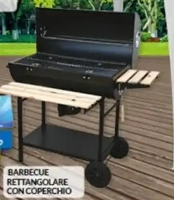 Risparmio Casa BARBECUE RETTANGOLARE CON COPERCHIO offerta