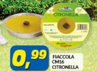 FIACCOLA CM16 CITRONELLA