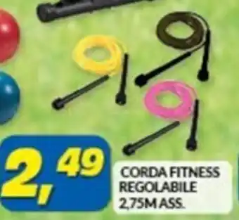 CORDA FITNESS REGOLABILE 2,75MASS.