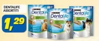 DENTALIFE ASSORTITI