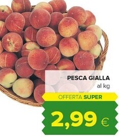 Tigre Pesca gialla offerta