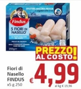 Paghi Poco Fiori di Nasello FINDUS x5 g 250 offerta
