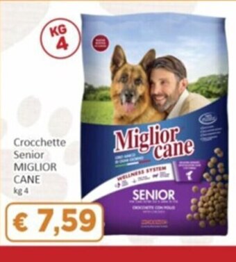 Crocchette Senior MIGLIOR CANE kg 4