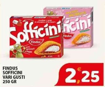 FINDUS SOFFICINI VARI GUSTI 250 GR